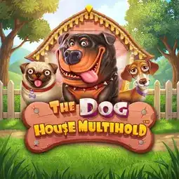 The Dog House Multihold game at Kingdom Casino for United Kingdom players The Dog House Multihold game at Kingdom Casino for United Kingdom players